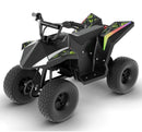 48V Brushless Motor Electric ATV Magic Cars 3