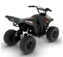 48V Brushless Motor Electric ATV Magic Cars 5
