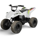 48V Brushless Motor Electric ATV Magic Cars 7