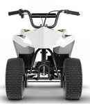 48V Brushless Motor Electric ATV Magic Cars 8