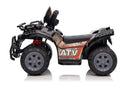 6V Single-Seater All-Terrain Push and Pull Ride-On Vehicle Magic Cars 10