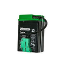 6V 4AH Battery Compatible with Peg Perego Lil Tractor & Trailer and Santa Fe Train Magic Cars Variant 0