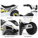 6V Electric Kids 4-Wheel Quad ATV Ride-On Toy with Forward and Reverse for Toddlers Magic Cars 8
