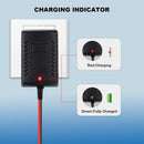 6V Kids Ride-On Car Battery Charger for BMX X6 Kid Trax Disney GMC Magic Cars 2