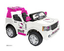 9-Foot 12V AC Charger Adapter for Pink Hello Kitty Ride-On SUV with Music Magic Cars 1
