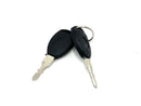 24v A032 Buggy Set Of Keys