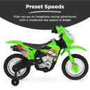 6V Electric Ride-On Motorcycle Toy with Training Wheels for Kids