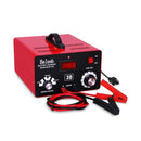 Versatile Smart LCD Display Battery Charger for 12V to 72V Systems Magic Cars Variant 0