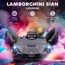 12V Kids Electric Ride-On Lamborghini Sian Car Toy with Remote Control Magic Cars 27