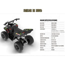 E350 Kids 4-Wheel Electric Ride-On ATV with 36V Li-Ion Battery Magic Cars 10