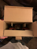 Larry Lobster Singing Motion-Activated Toy - Battery Powered 2000 Edition Magic Cars 3