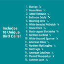 16-Call Electronic Bird Sound Maker Magic Cars 1