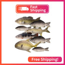 8-Piece Assorted Fake Fish Toy Set for Imaginative Play Magic Cars Variant 0