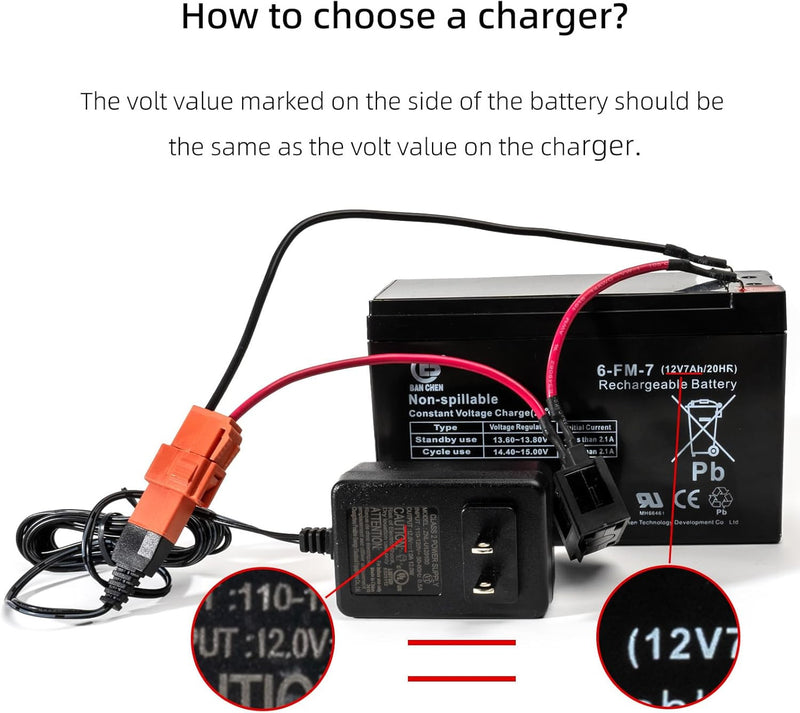 Cargador de batería 12 voltios para juguetes de montar con cable incluido Magic Cars 5