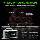 48V Golf Cart Charger, 15 AMP Club Car Battery Charging Station with 3-Pin Round Plug Magic Cars 7