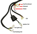 Complete GY6 125/150cc Wire Harness for Sport Models - image 4