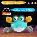 Interactive Crawling Crab Toy for Babies - Time Toys Ages 3 to 12 Magic Cars 2