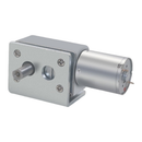 12V DC JGY370 Worm Gear Motor with 8mm Hollow Shaft for Automation Applications