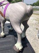 Frozen 2 My Size Playdate Sven Reindeer Ride-On Toy with Sounds and Carrot Accessory Magic Cars 9