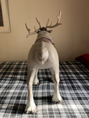 Frozen 2 Playdate Sven Reindeer Ride-On Toy with Sounds Magic Cars 3