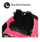 Electric Remote Control Car Magic Cars 6