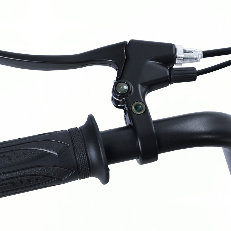 Electric Dirt Bike for Kids with Powerful Motor and 13.67 MPH Top Speed, Supports up to 150 lbs Magic Cars 13