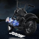 24V Electric Kids Dirt Bike Motorcycle with 300W Motor, 2 Speeds and 12" Tires Magic Cars 2