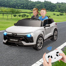 Electric 2-Seater Ride-On SUV Truck with 24V Battery and Remote Control Magic Cars 12