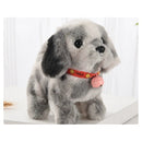 Interactive Plush Dog Toy with Sound and Movement Magic Cars 1