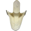 Front Fender for White, CSC Nitro Sport, Wolf, Scoot Star for CSC Scooters - image 3