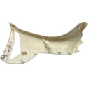 Front Side Panel (Left) for CSC Nitro Sport for CSC Scooters - image 3