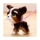 furReal Bernedoodle Walking Plush Puppy Toy, 8-inch Interactive Companion Magic Cars 1