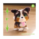 furReal Bernedoodle Walking Plush Puppy Toy, 8-inch Interactive Companion Magic Cars 2
