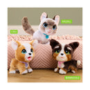 furReal Bernedoodle Walking Plush Puppy Toy, 8-inch Interactive Companion Magic Cars 5