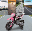 Ride P Series: 12V Electric Dirt Bike for Kids with Dual 25W Motors and Twist Grip Throttle Magic Cars 3