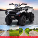 Ride P Series: 12V Kids Electric Quad ATV Magic Cars 4
