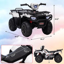 Ride P Series: 12V Kids Electric Quad ATV Magic Cars 5