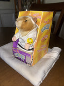 Kung Fu Hamster by Gemmy 2001 - Sings & Dances to "Kung Fu Fighting" Magic Cars 2