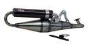 Genuine Dealer Accessory Package - 50cc Performance (Standard) - image 3