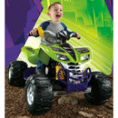 Power Wheels Assorted Decal Sheet for Kawasaki KFX Models Magic Cars 1