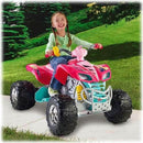 Power Wheels Assorted Decal Sheet for Kawasaki KFX Models Magic Cars 3