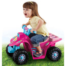 Power Wheels Assorted Label Decal Sheets for Little Quad Models Genuine Replacement Magic Cars 1