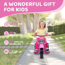 Pink Battery-Powered Ride-On Trike for Toddlers Magic Cars 6
