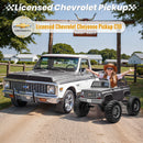 Gray 24V Chevrolet Cheyenne Kids Electric Ride-On Truck with Parental Control Magic Cars 2