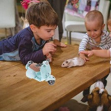 Rotating Hamster and Guinea Pig Motorbike Cage with Hideout and Accessories Magic Cars 3