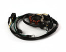 Honda Dio Performance Stator Alternator Flywheel - image 3
