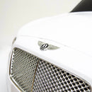 12-Volt Electric Kids R/C Car with Music and Lights Licensed Bentley Model in Multiple Colors Magic Cars 2