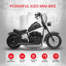 24V 250W Electric Dirt Bike for Kids with 2-Speed 14MPH, 60Min Runtime, LED Headlight, and Leather Seat Magic Cars 6