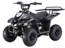 Kids Gas-Powered ATV Quad Bike ATA110 Magic Cars 1