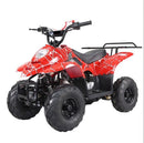 Kids Gas-Powered ATV Quad Bike ATA110 Magic Cars 3